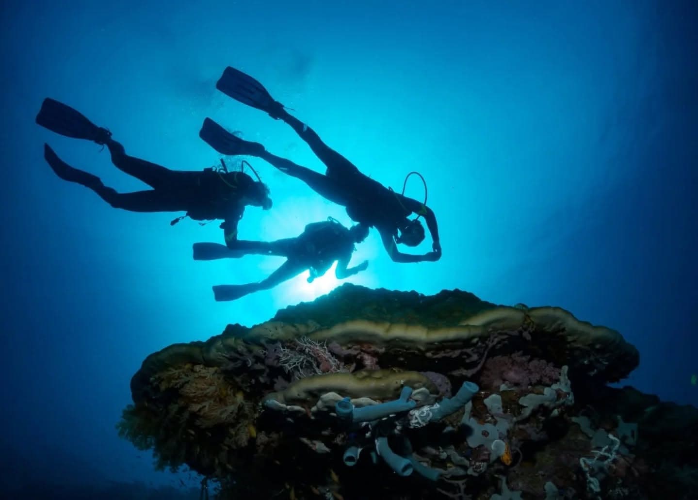 Divers descending over a coral bommie lit by the sun