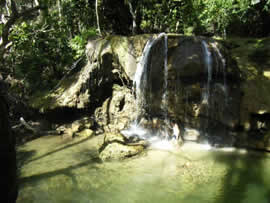 Jungle walks and waterfalls Jungle walks and waterfalls