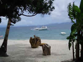View from cottages